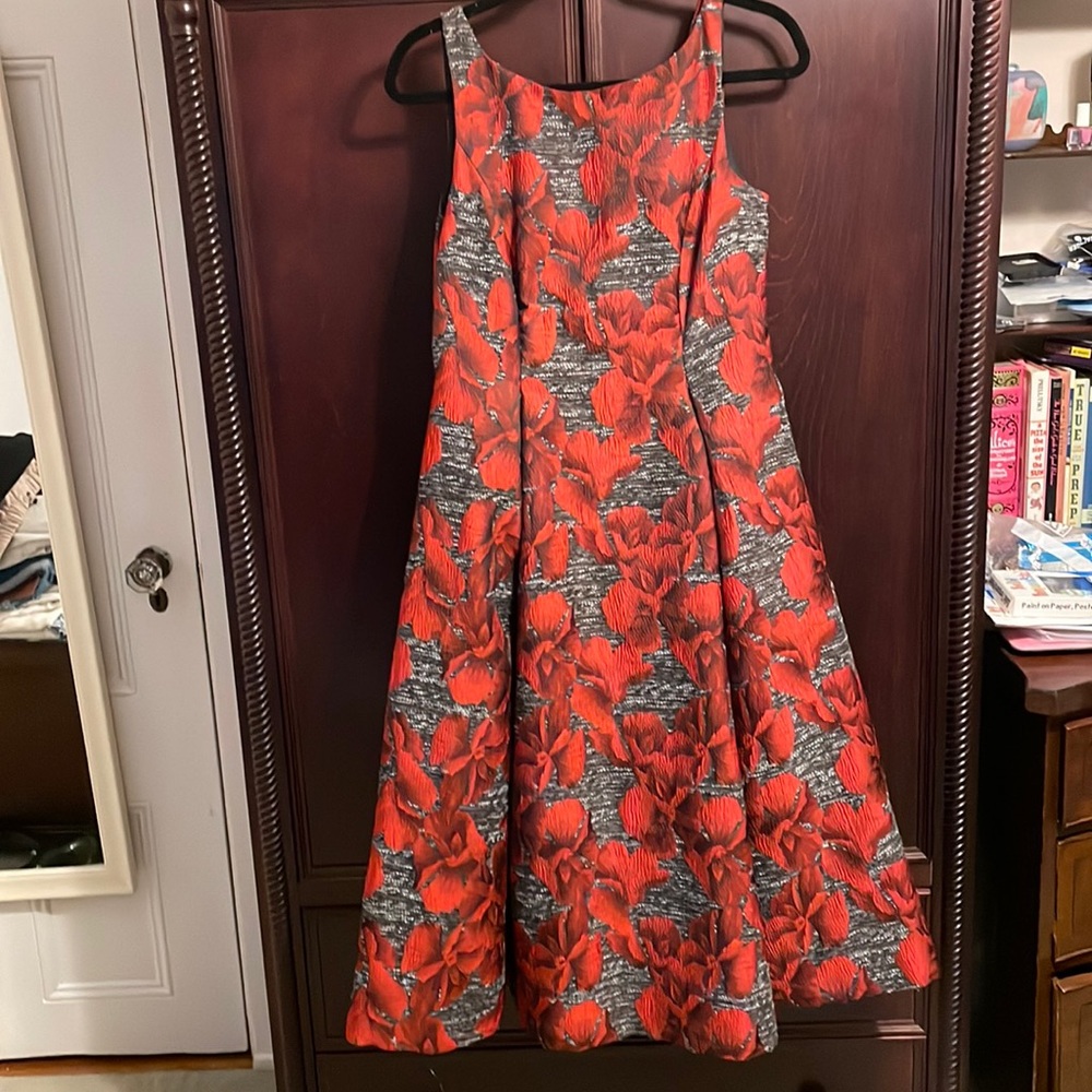 Adrianna Papell Dress